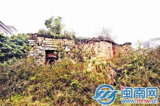槐山村一處古窯，已經(jīng)被草叢包圍
